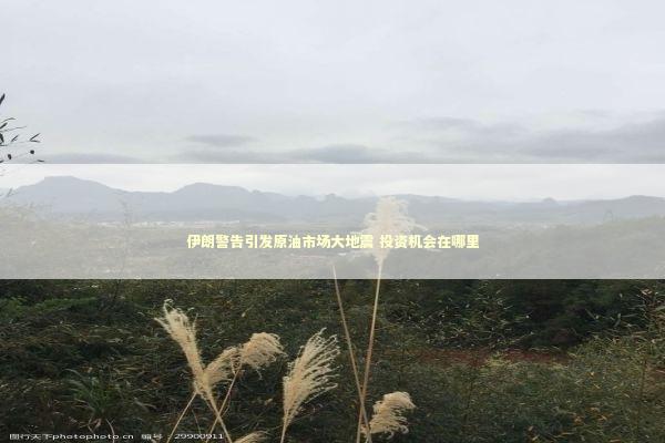 伊朗警告引发原油市场大地震 投资机会在哪里