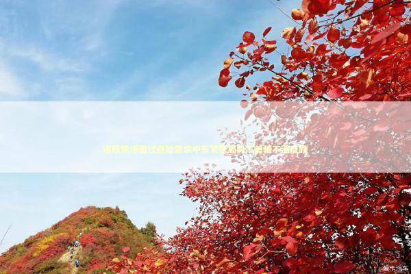 通胀焦虑盖过避险需求中东紧张局势下美债不涨反跌