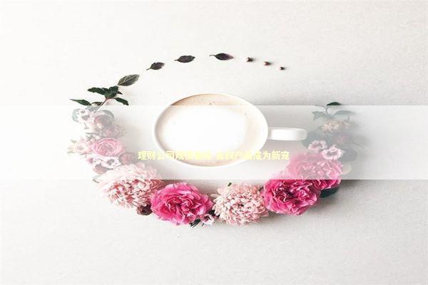 理财公司规模普增 含权产品成为新宠