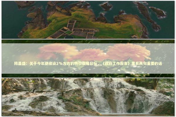 陈昌盛：关于今年继续设2%左右的物价涨幅目标，《政府工作报告》里有两句重要的话 新闻