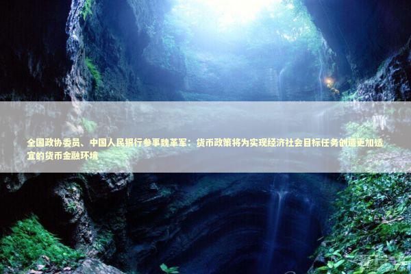 全国政协委员、中国人民银行参事魏革军：货币政策将为实现经济社会目标任务创造更加适宜的货币金融环境