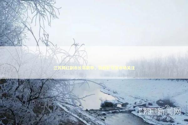 江苏网红副市长蒋鹏举，获表彰引发市场关注