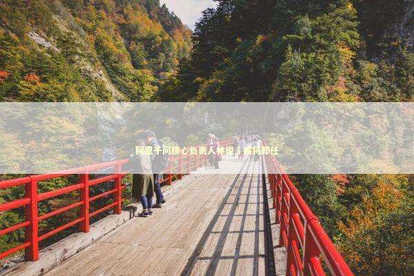 阿里千问核心负责人林俊旸或将卸任