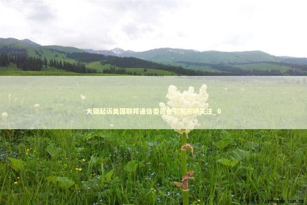 大疆起诉美国联邦通信委员会引发市场关注_6