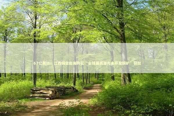 67亿英镑！江西铜业出海购买“全球最具潜力未开发铜矿”获批