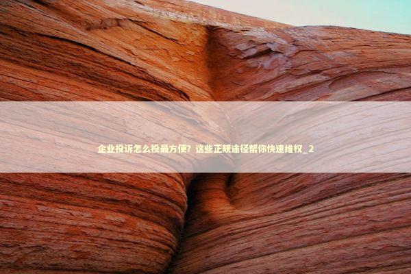 企业投诉怎么投最方便？这些正规途径帮你快速维权_2 新闻