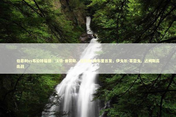 伯恩利vs布伦特福德：沃德-普劳斯、汉尼拔-梅布里首发，伊戈尔-蒂亚戈、达姆斯高出战
