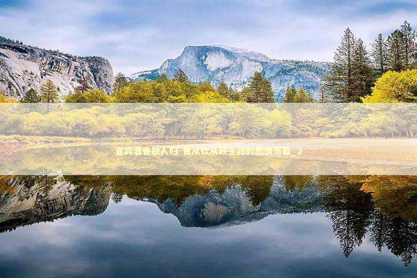 宜宾酒香故人归-曾从钦从政生涯的悲情落幕_2