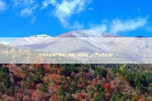 代孕子女落户争议：没有“出生证”，户口怎么落？