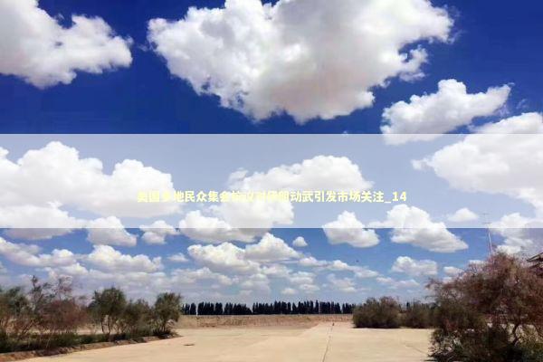 美国多地民众集会抗议对伊朗动武引发市场关注_14