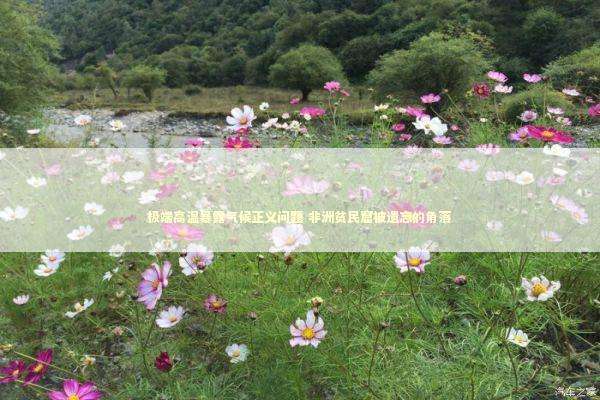 极端高温暴露气候正义问题 非洲贫民窟被遗忘的角落