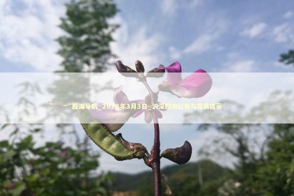 股海导航_2026年3月3日_沪深股市公告与交易提示