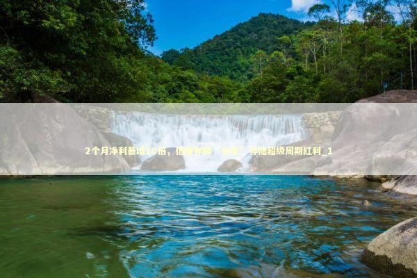 2个月净利暴增10倍，佰维存储“分羹”存储超级周期红利_1