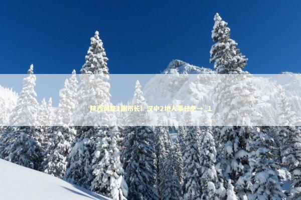 陕西调整2副市长！汉中2地人事任免→_1