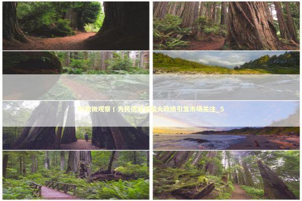 时政微观察丨为民造福是最大政绩引发市场关注_5