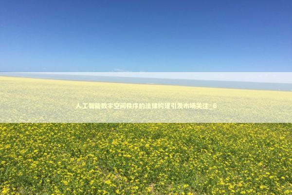 人工智能数字空间秩序的法律构建引发市场关注_6