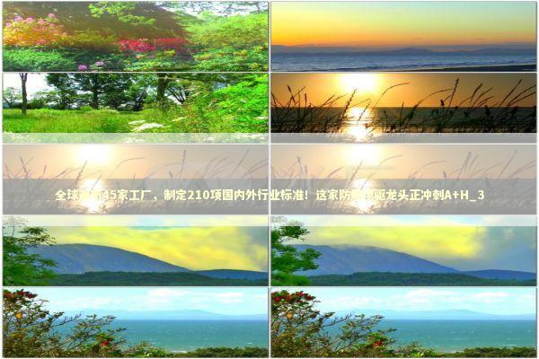 全球遍布45家工厂，制定210项国内外行业标准！这家防爆电驱龙头正冲刺A+H_3