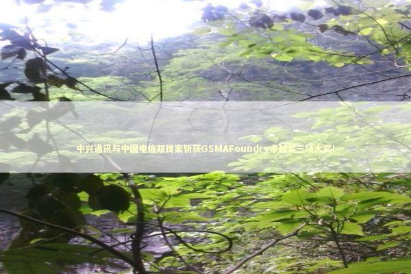 中兴通讯与中国电信双提案斩获GSMAFoundry卓越奖三项大奖！