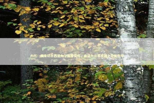 内托：我来切尔西是为了赢得奖杯，希望为这赛季画上完美句号