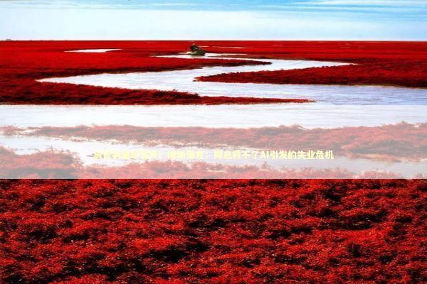 离任前重磅发声！博斯蒂克：降息救不了AI引发的失业危机