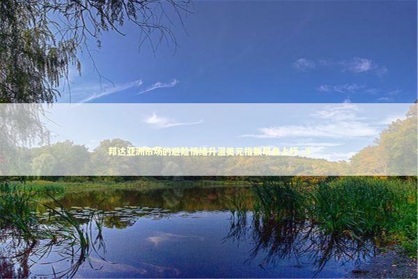 邦达亚洲市场的避险情绪升温美元指数早盘上行_3