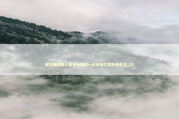 纵深推进融入服务全国统一大市场引发市场关注_15