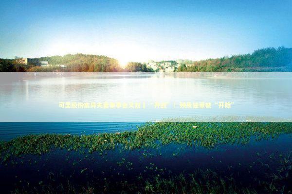 可靠股份离异夫妻董事会又双叒“开战”！殃及独董被“开除”