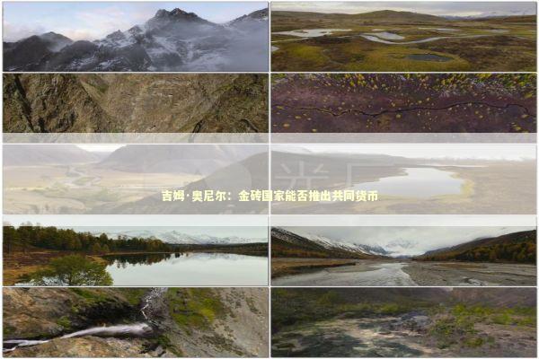 吉姆·奥尼尔：金砖国家能否推出共同货币