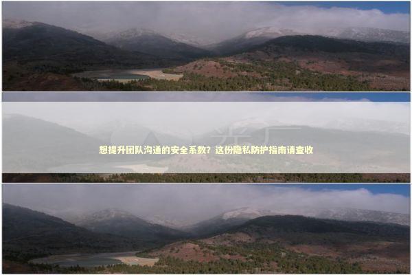 想提升团队沟通的安全系数？这份隐私防护指南请查收