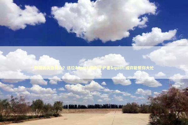 数据丢失急死人？这位"隐形守护者"或许能帮你大忙 IT技术