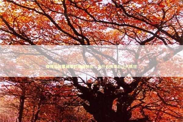 穿搭论坛里藏着的情绪秘密：为什么换季总让人抓狂 时尚用品