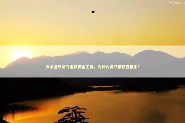 技术圈热议的这款安全工具，为什么突然被疯狂搜索？ IT技术