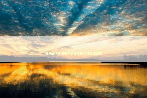 奢侈品消费决策中的心理博弈与理性回归 时尚用品